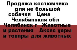 Продажа костюмчика для не большой собачки › Цена ­ 200 - Челябинская обл., Челябинск г. Животные и растения » Аксесcуары и товары для животных   